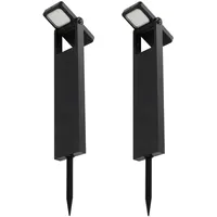 Lumisky Solarleuchten X2 zum Stecken Brity, h49cm