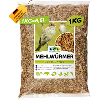 Mehlwürmer getrocknet 1kg = 6500ml Insektensnack für Vögel, Fische, Schildkröten, Nager und Reptilien, Vogelfutter Wildvögel Ganzjährig, Eichhörnchen Futter, Igelfutter