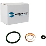 dr.motor Dichtungssatz, Einspritzdüse