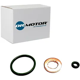 dr.motor Dichtungssatz, Einspritzdüse