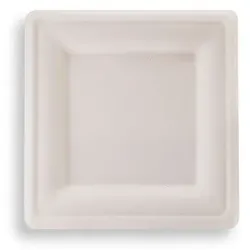 500 quadratische Teller aus Zuckerrohr  in weiß 20 x 20 cm | umweltfreundlich