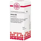 DHU-Arzneimittel Arnica D 6 Globuli 10 g