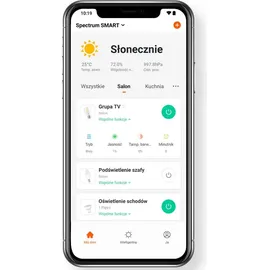 Ichona Spectrum LED Smart Leuchtmittel Globe G125 4,9W E27 Rauchglas 350lm 4000-6500K CCT Dimmbar App Google Alexa