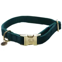 Kentucky Velvet Hundehalsband Grün 42-68 cm