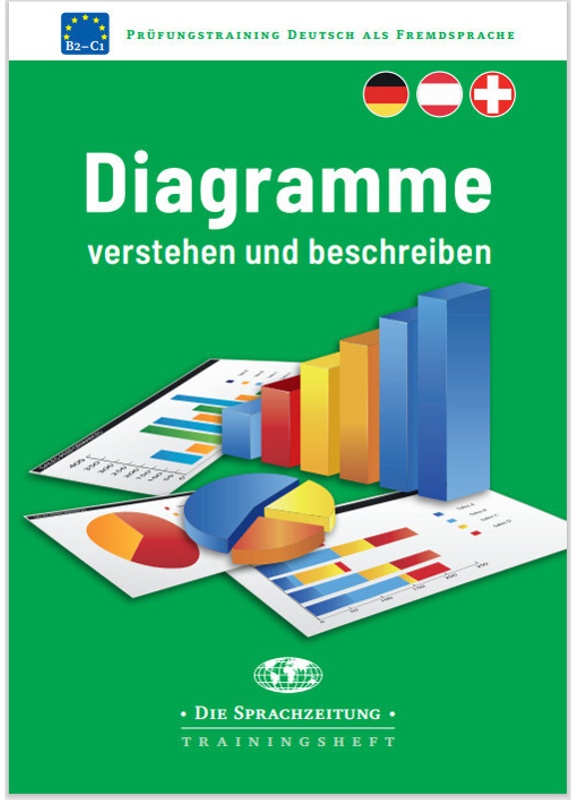 Diagramme Verstehen Und Beschreiben - Corinna Gerhard, Kartoniert (TB)