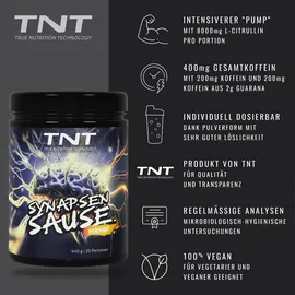 TNT Trainingsbooster Mango Pulver 440 g
