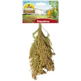 JR Farm Birds Rispenhirse 100g Vogelsnack