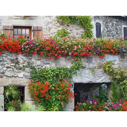 Fototapete PAPERMOON "Stein Haus", bunt, B:4,50m L:2,80m, Vlies, Tapeten
