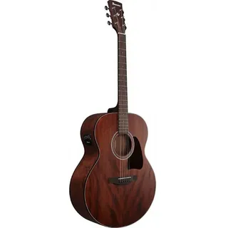 IBANEZ AJ54E-OPN -