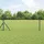 vidaXL Zaunlatte 0,6 x 50 m Grün/Eisen