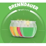 HS Candle Duftkerzen Selection 12 St. bunt