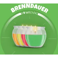 HS Candle Duftkerzen Selection 12 St. bunt