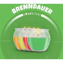 HS Candle Duftkerzen Selection 12 St. bunt