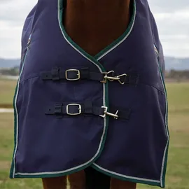 Weatherbeeta Comfitec Plus Dynamic Turnout High Neck 220g, 150
