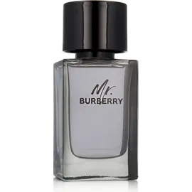 Burberry Mr. Burberry Eau de Toilette 100 ml