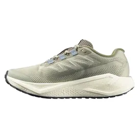 Salomon Aero Blaze 3 GRVL Herren Grün/Beige 45