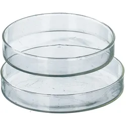 Petrischale 10cm