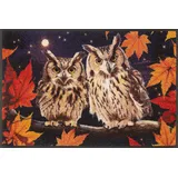 Wash+Dry Night Owls 50 x 75 cm Mehrfarbig