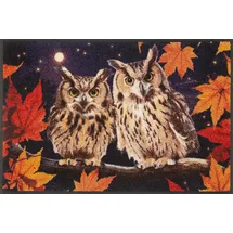Wash+Dry Night Owls 50 x 75 cm Mehrfarbig