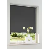 OTTO home Seitenzugrollo Themse-Uni 45 x 150 cm grau