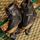 K2 Skates Unisex Inline Skates Uptown, Black - Gold, 30F0181.1.1.075