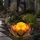 GLOBO Garten Außenlampen Solarleuchte dekorative LED Solarleuchte im Lotusblüten Design, Glaskugel goldfarben, LED, 22cm, Terrasse, 2er Set