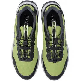 CMP Phelyx Herren Moss 42