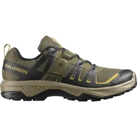 Salomon SHOES EXTEND 2 GTX Olvnig/Black/Willow OLIVE NIGHT/BLACK/WILLOW