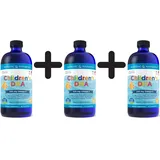 Nordic Naturals DHA Erdbeergeschmack Flüssigkeit 473 ml