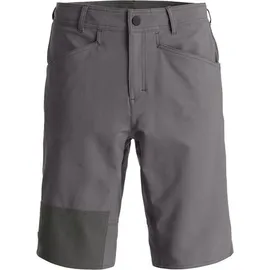 Ortovox Herren Affinity Plus Shorts (Größe S, grau)
