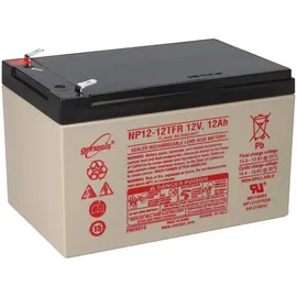 EnerSys Genesis Np12-12wt 12v 12ah Faston 6,3mm Agm Blei Akku