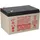 EnerSys Genesis Np12-12wt 12v 12ah Faston 6,3mm Agm Blei Akku