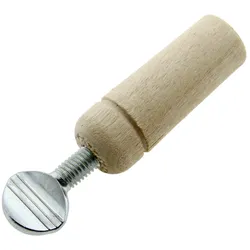 Vogelstimme Singdrossel zum Drehen