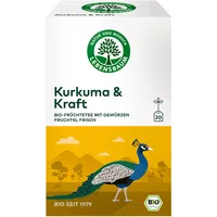 Lebensbaum Kurkuma & Kraft Früchtetee Teebeutel 20 x 2