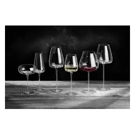 Zieher Vision Nostalgic Weinglas Kristallglas 0,25 l 2er Set