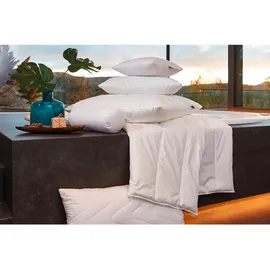 Centa-Star Aqua Aktiv Vierjahreszeitenbett (Combibett) 155 x 220 cm