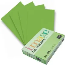 Antalis Kopierpapier, image Coloraction 120g/m2 maigrün