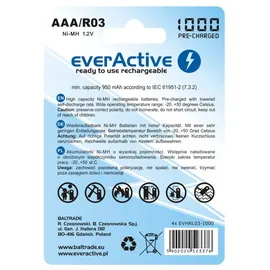 Everactive Akku AAA 1000 mAh 4 St.