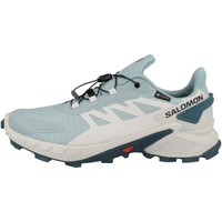 Salomon Supercross 4 Gore-Tex Damen stone blue/lunar rock/stargazer 41