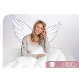 SCHLAFSTIL Daunendecke D800 normal medium, Füllung: 100% Prachtgänsedaunen