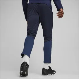 Puma teamGOAL Training Pant