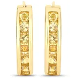 Rafaela Donata Creolen K87 gelbgold 375 2-tlg