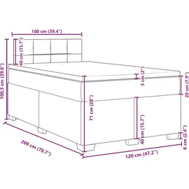 vidaXL Boxspringbett 120 x 200 cm Schwarz