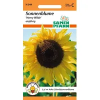 Samen Pfann Sonnenblume Henry Wilde