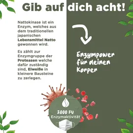 Blattwerk360 Nattokinase Kapseln 365 St.