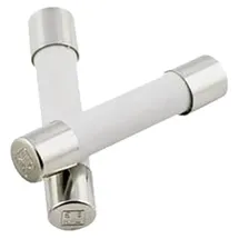 Eska Feinsicherung träge Keramikrohr mit Löschmittel 1 A (6,3x32 mm) - 10 Stück