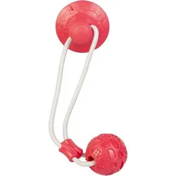 Mica Pets Hundespielzeug - Spielball mit Seil - ca. 39 cm, Hundespielzeug