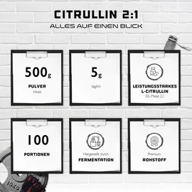 German Elite Nutrition L-Citrullin DL-Malat 2:1 Pulver 500 g