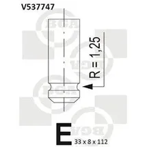 BGA Auslassventil v537747