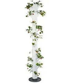 Gusta Garden Sissi Strawberry 32 x 27 x 185 cm Weiß